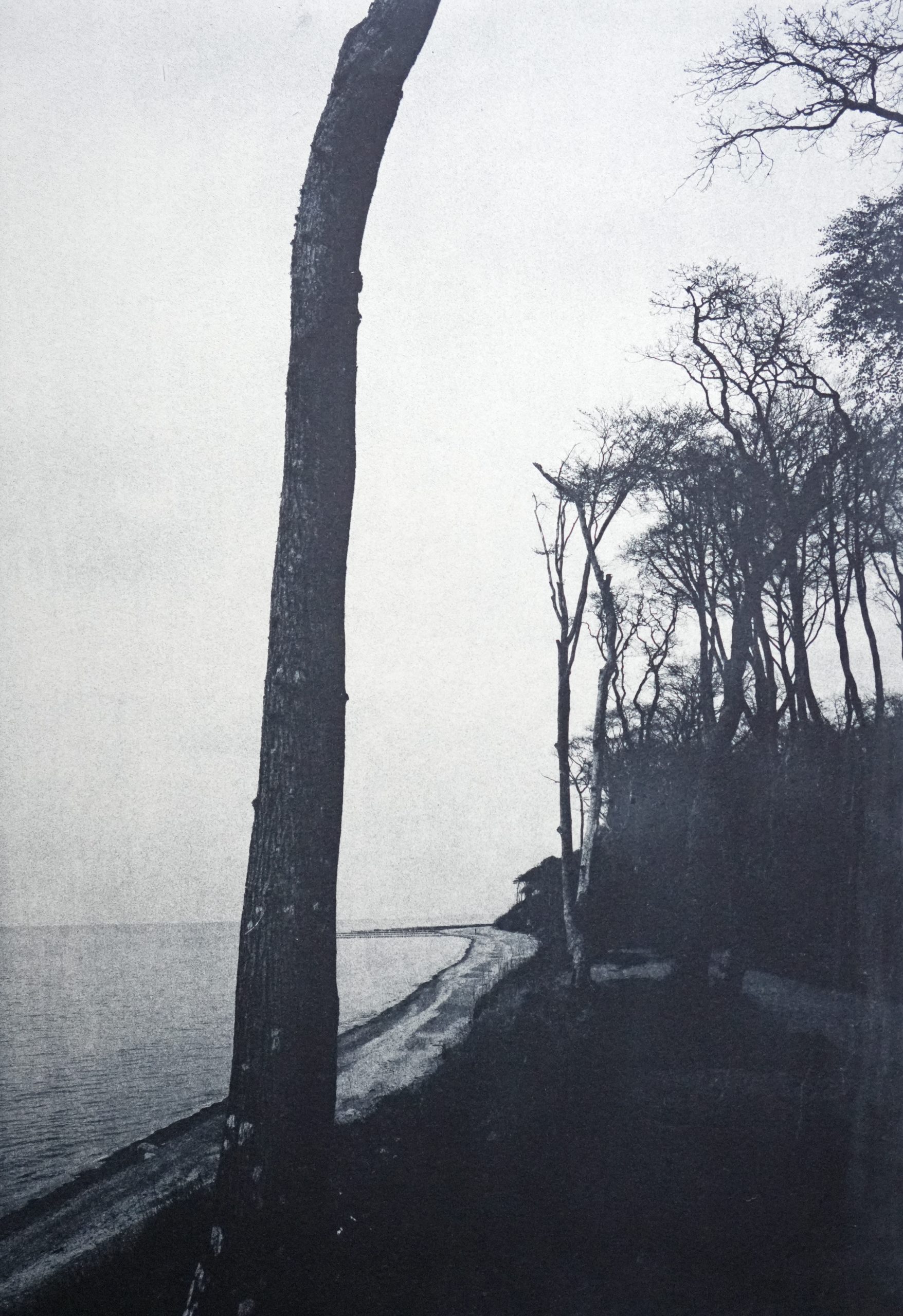 Am Grund des Wassers